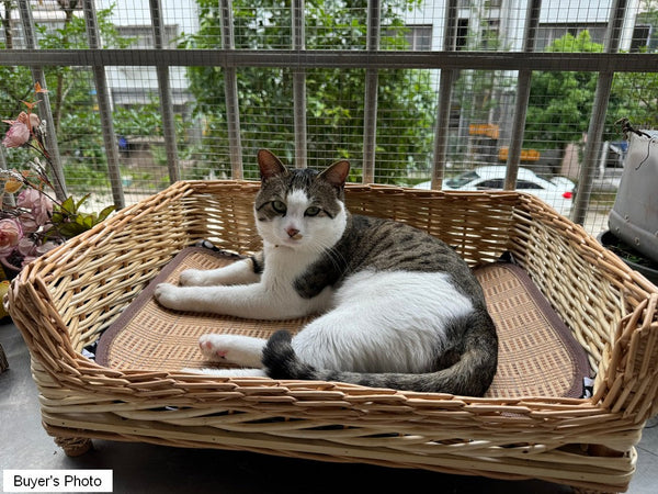 Large Natural Wicker Dog Bed with Washable Cushion for Indoor Cats and Dogs, Hand Woven Rattan Cat Beds-ArtWorkCrafts.com