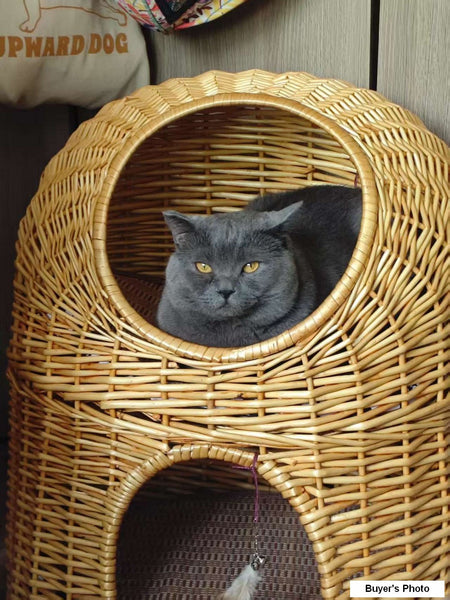 Large Double-Layer Cat Bed, Wicker Cat House Basket with Washable Cushion for Indoor Cats and Dogs-ArtWorkCrafts.com