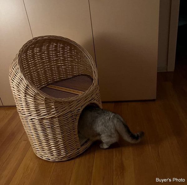 Large Cat House Basket with Washable Cushion for Indoor Cats and Dogs, Double-Layer Cat Bed-ArtWorkCrafts.com