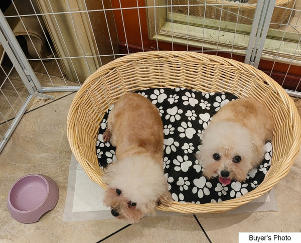 Natural Wicker Dog Bed with Washable Cushion for Indoor Cats and Dogs, Hand woven Rattan Cat Beds-ArtWorkCrafts.com