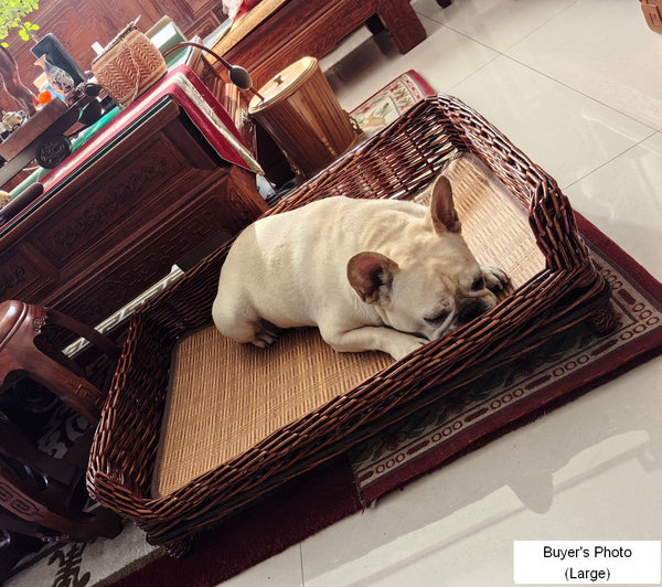 Large Natural Wicker Dog Bed with Washable Cushion for Indoor Cats and Dogs, Hand Woven Rattan Cat Beds-ArtWorkCrafts.com