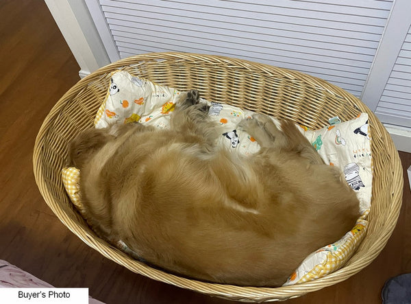 Natural Wicker Dog Bed with Washable Cushion for Indoor Cats and Dogs, Hand woven Rattan Cat Beds-ArtWorkCrafts.com