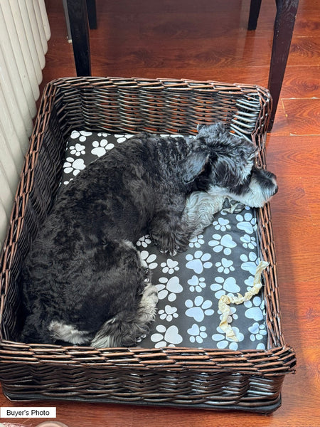 Large Natural Wicker Dog Bed with Washable Cushion for Indoor Cats and Dogs, Hand Woven Rattan Cat Beds-ArtWorkCrafts.com