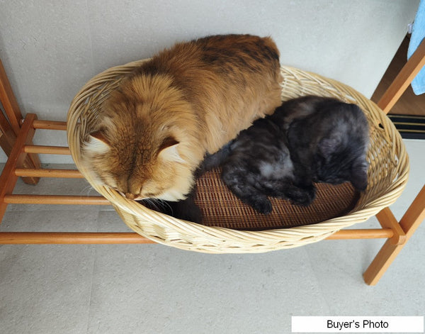 Hand woven Rattan Cat Beds, Extra Large Natural Wicker Dog Bed with Washable Cushion for Indoor Cats and Dogs-ArtWorkCrafts.com
