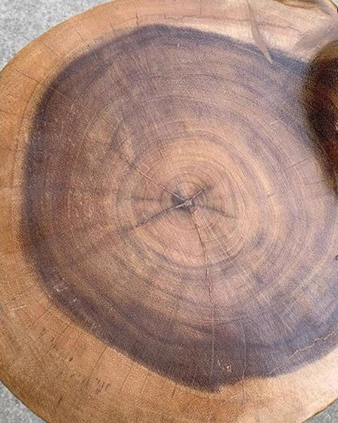 Elephant Sofa Stool, Dining Table Stool, Handmade Solid Wood low Stool, Elephant Wooden Stool, Creative Shoe-changing Stool-ArtWorkCrafts.com