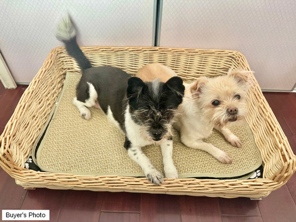 Large Natural Wicker Dog Bed with Washable Cushion for Indoor Cats and Dogs, Hand Woven Rattan Cat Beds-ArtWorkCrafts.com