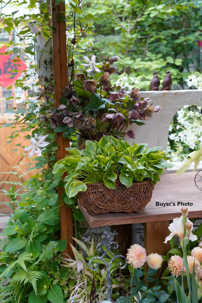 Large Picnic Food Basket with Handle, Natural Hand-woven Wicker Storage Basket, Natural Fruit Baskets, Kitchen Storage Baskets, Willow Weaving Baskets with Handle-ArtWorkCrafts.com