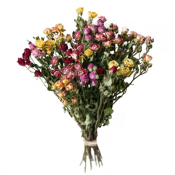 A Bouquet of Dried Rose Flowers, Dried Rose Flower Bouquet, Natural Dried Rose Flower Bunches, A Bunch Dried Rose Flowers, Red Yellow Purple Dried Rose Floral-ArtWorkCrafts.com