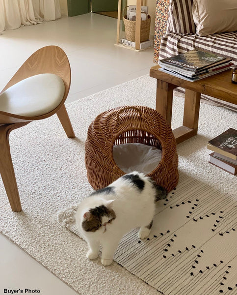 Indoor Cat Bed, Natural Wicker Cat House Basket with Washable Cushion for Indoor Cats and Dogs-ArtWorkCrafts.com