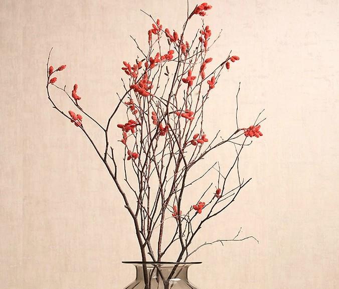 Dried Myrtle Twig Branches, Natural Dried Branches Decor, Rustic Floral Arrangement Stems