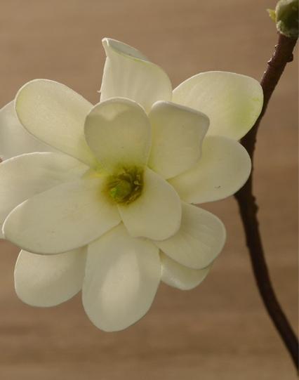 Artificial White Magnolia Stem, Artificial Flower, Silk Flowers, Flux Flowers, Artificial Floral-ArtWorkCrafts.com