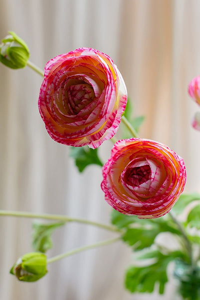 Ranunculus Asiaticus Flowers, Simple Modern Floral Arrangement Ideas for Home Decoration, Spring Artificial Floral for Dining Room, Bedroom Flower Arrangement Ideas-ArtWorkCrafts.com